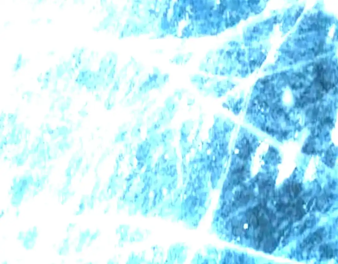 重生之我是大天神 - 第88话：斗巨蟒 - 第7张图