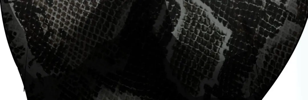 重生之我是大天神 - 第88话：斗巨蟒 - 第158张图