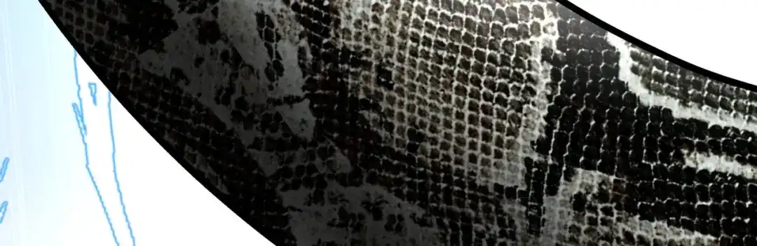 重生之我是大天神 - 第89话：大卸八块 - 第16张图