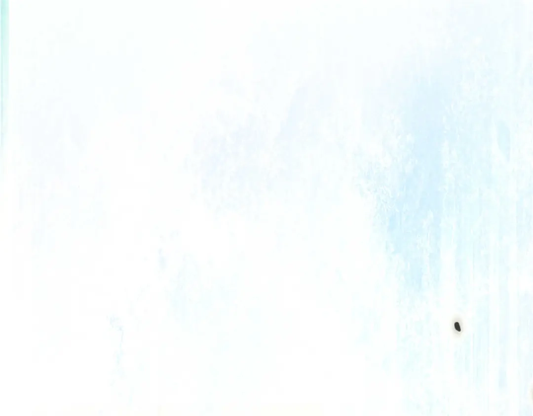 重生之最强剑神 - 72 冰火融合 - 第94张图