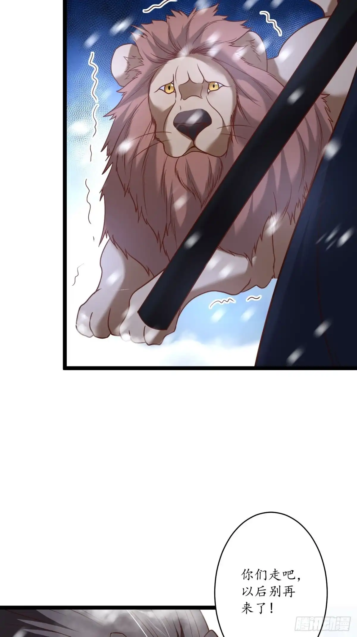 《重生之最强魔尊赘婿》巾帼霸妻猛赛虎 第13页
