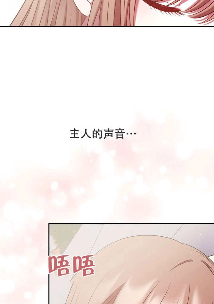 《宠物女仆》第12话 第24页