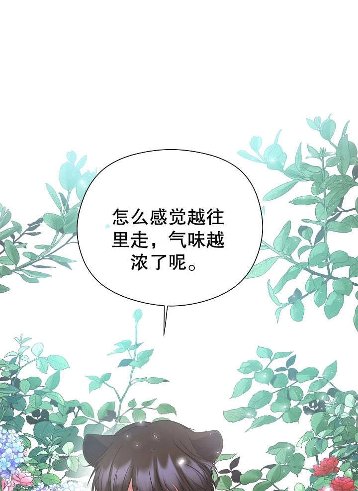 《宠物女仆》第02话 第51页