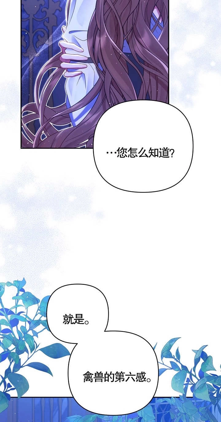 《宠物女仆》第24话 第78页