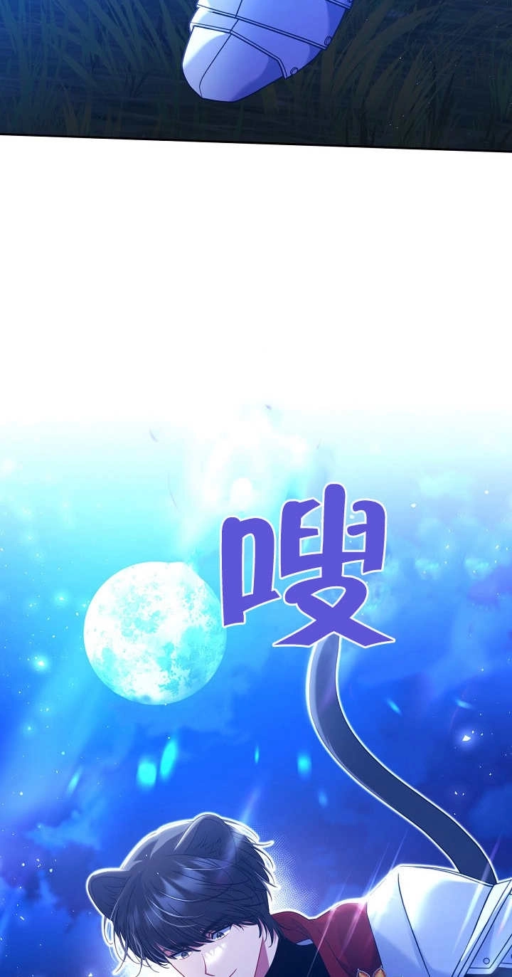 《宠物女仆》第24话 第67页
