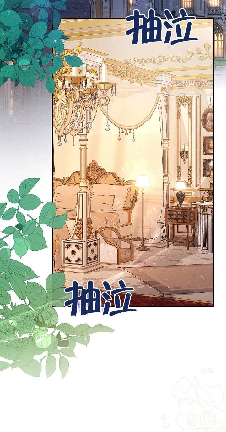 《宠物女仆》第24话 第3页