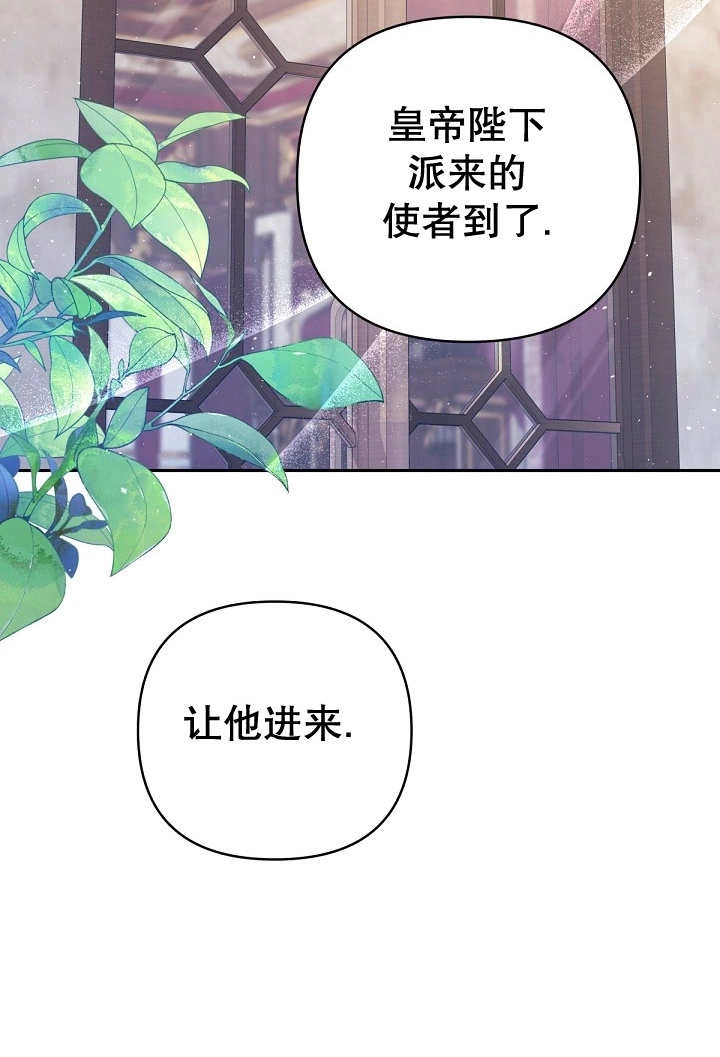《宠物女仆》第26话 第39页