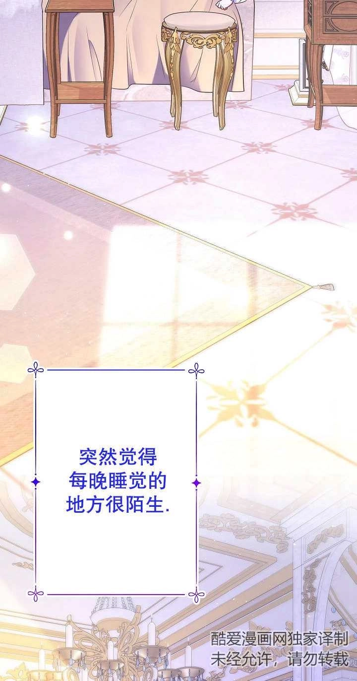 《宠物女仆》第27话 第36页