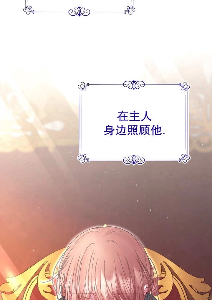 《宠物女仆》第28话 第46页