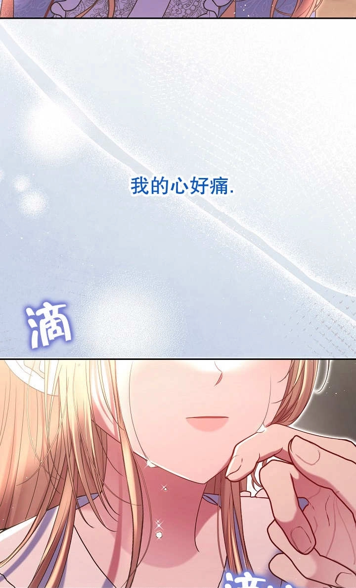 《宠物女仆》第29话 第43页