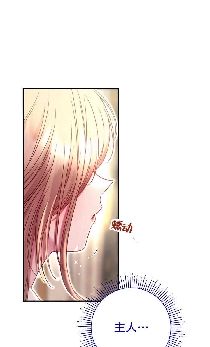 《宠物女仆》第29话 第46页