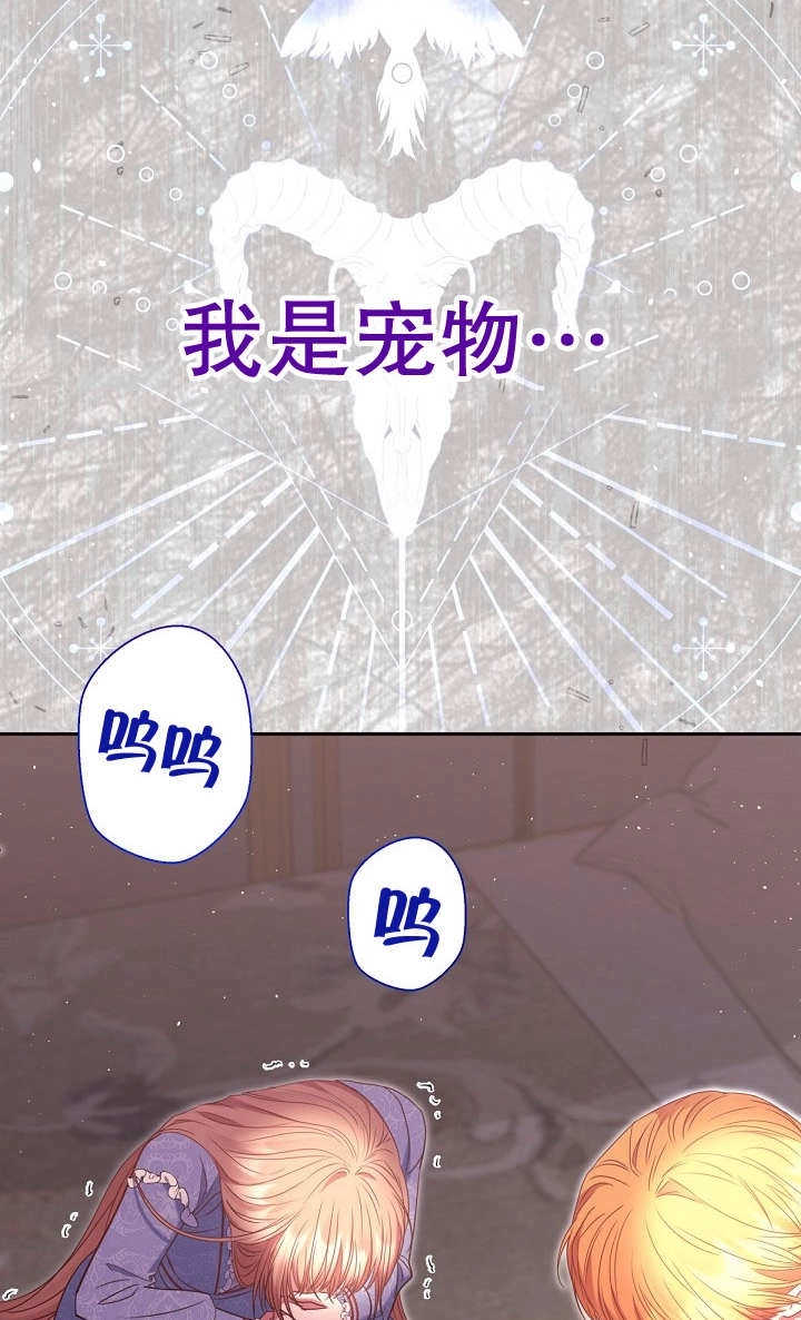 《宠物女仆》第29话 第62页