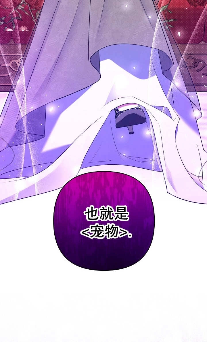《宠物女仆》第29话 第5页