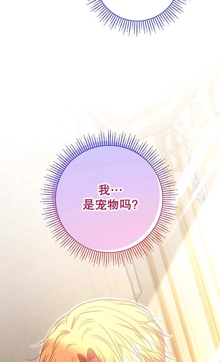 《宠物女仆》第29话 第47页