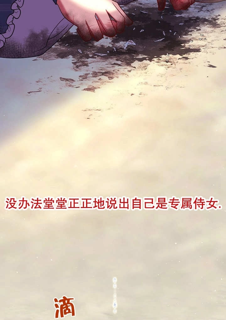 《宠物女仆》第30话 第36页