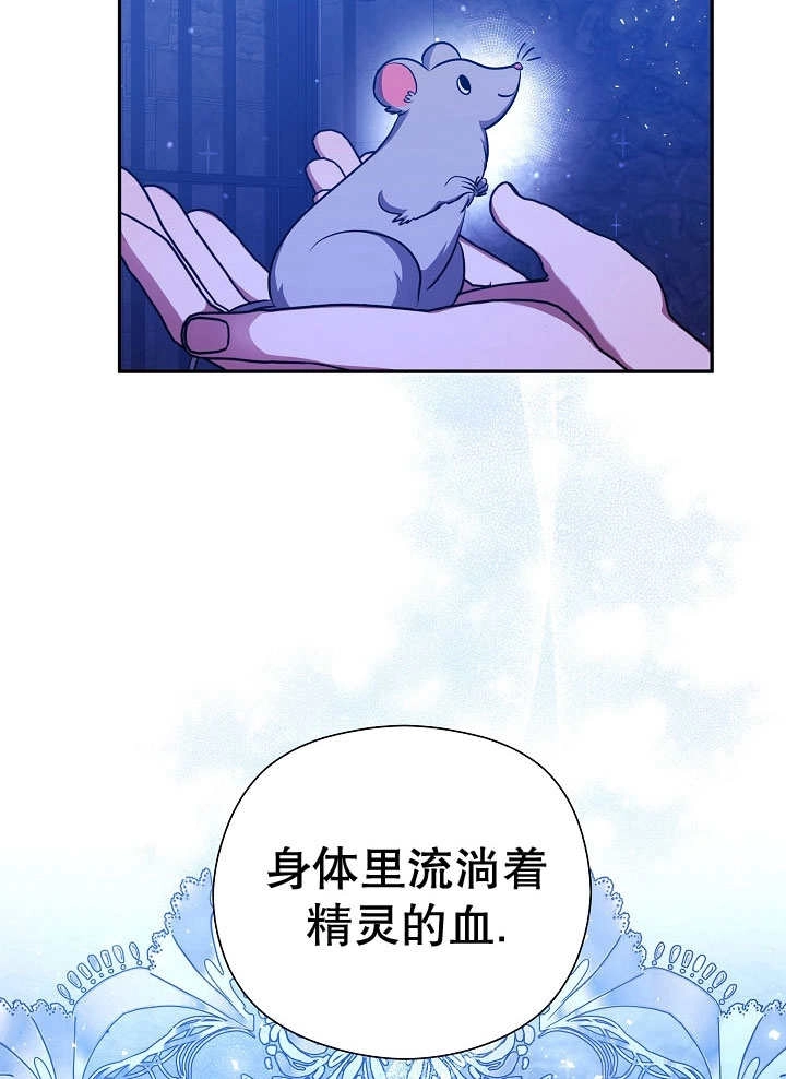 《宠物女仆》第04话 第115页