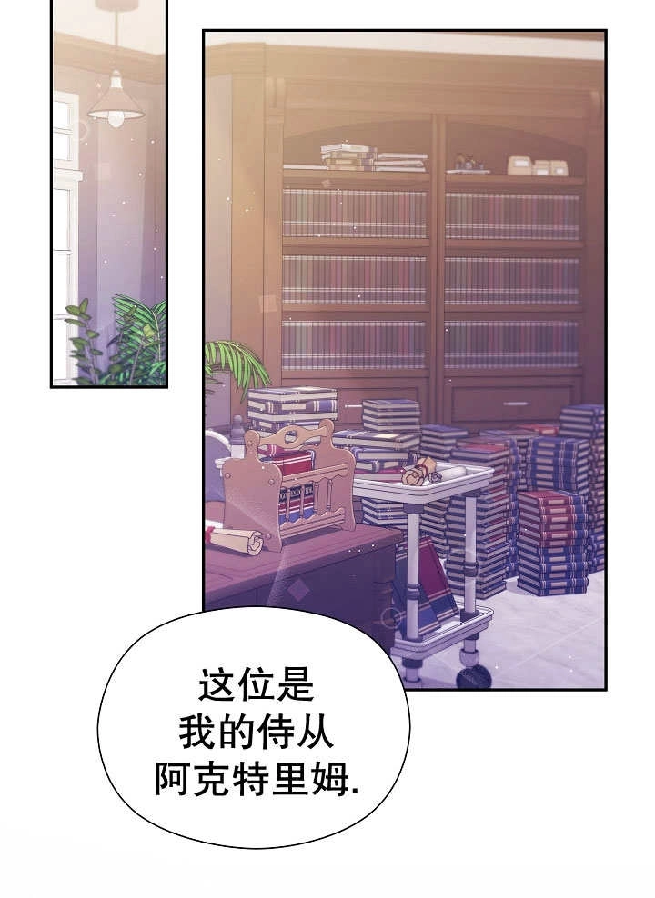《宠物女仆》第06话 第74页