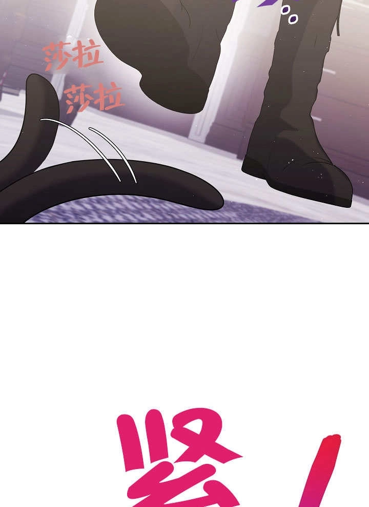 《宠物女仆》第07话 第71页