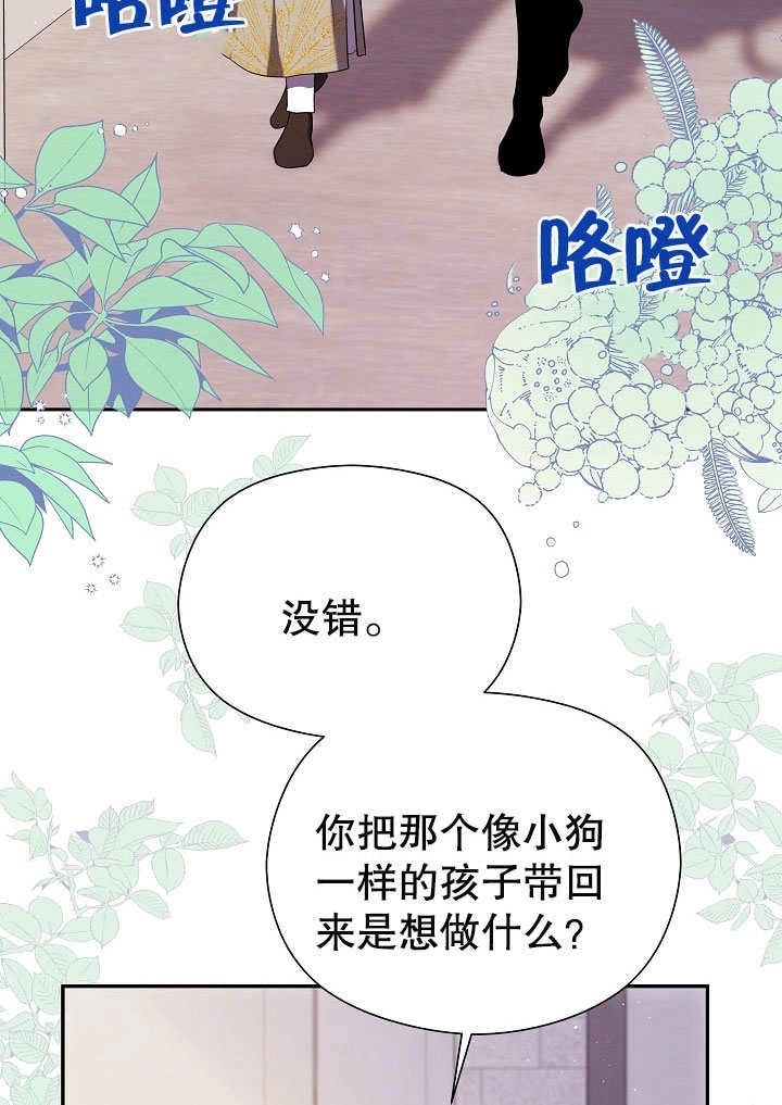 《宠物女仆》第08话 第6页