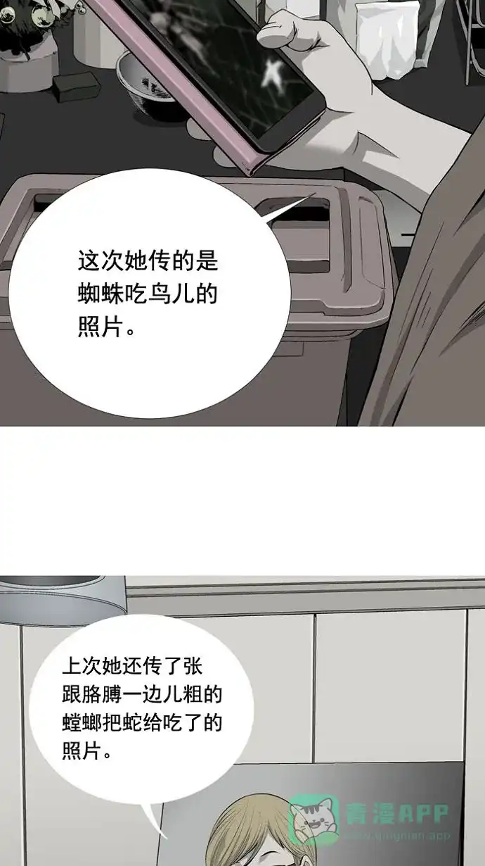 《虫穴》预告 第7页