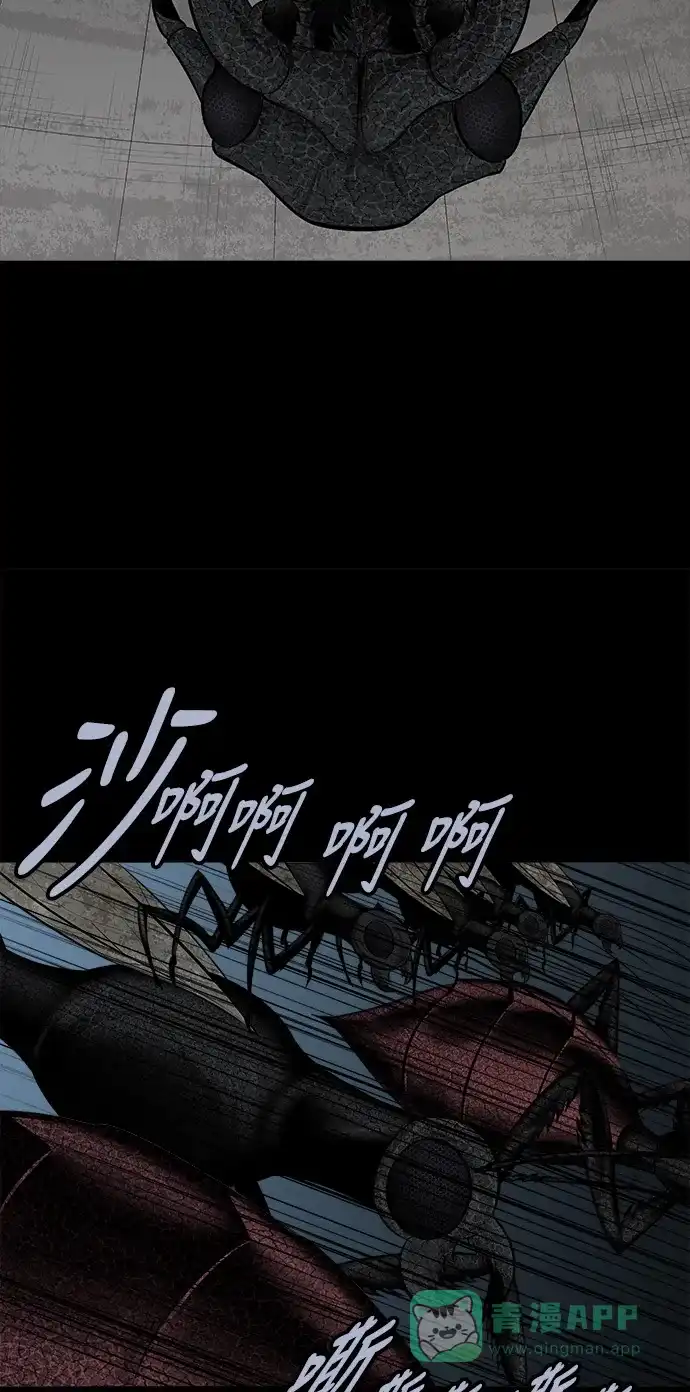 《虫穴》第115话 第38页