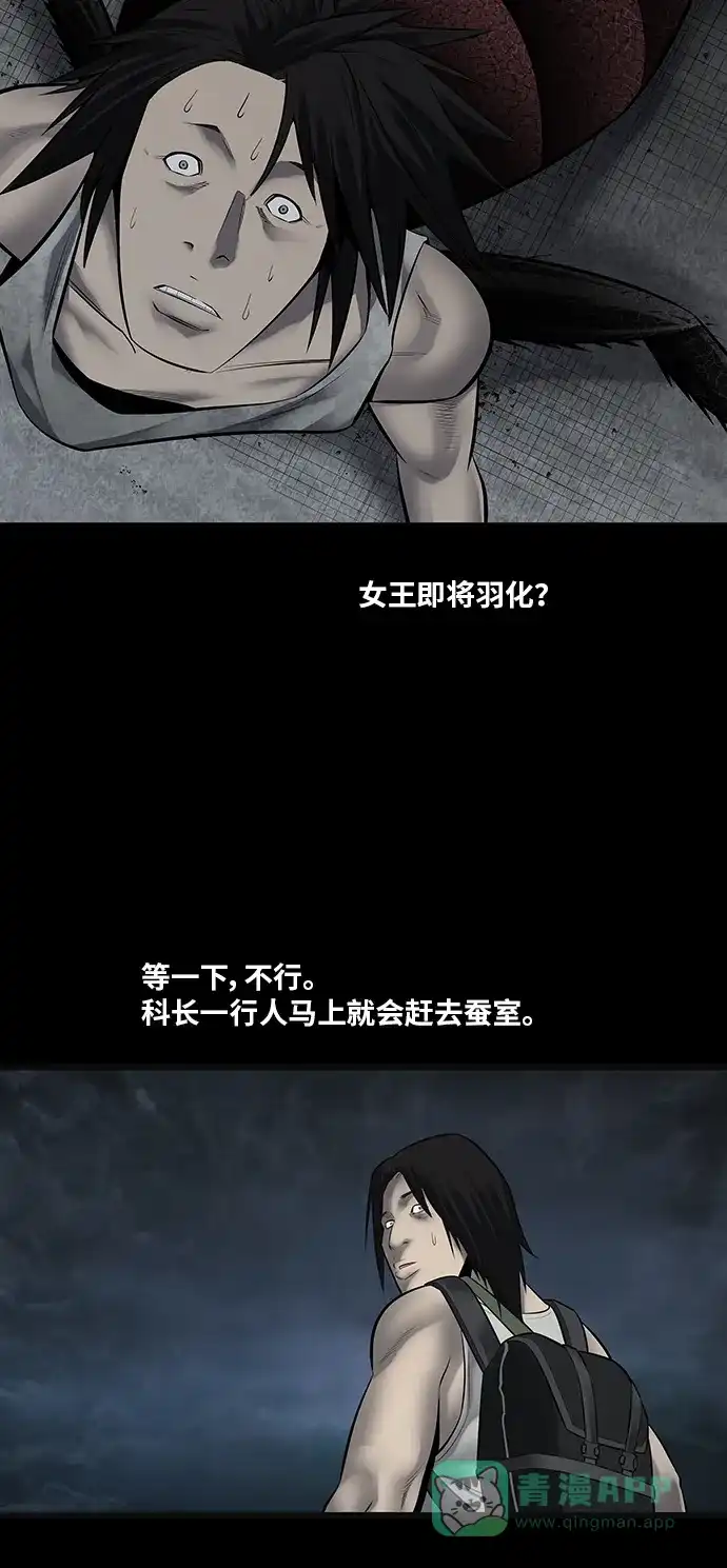 《虫穴》第130话 第63页