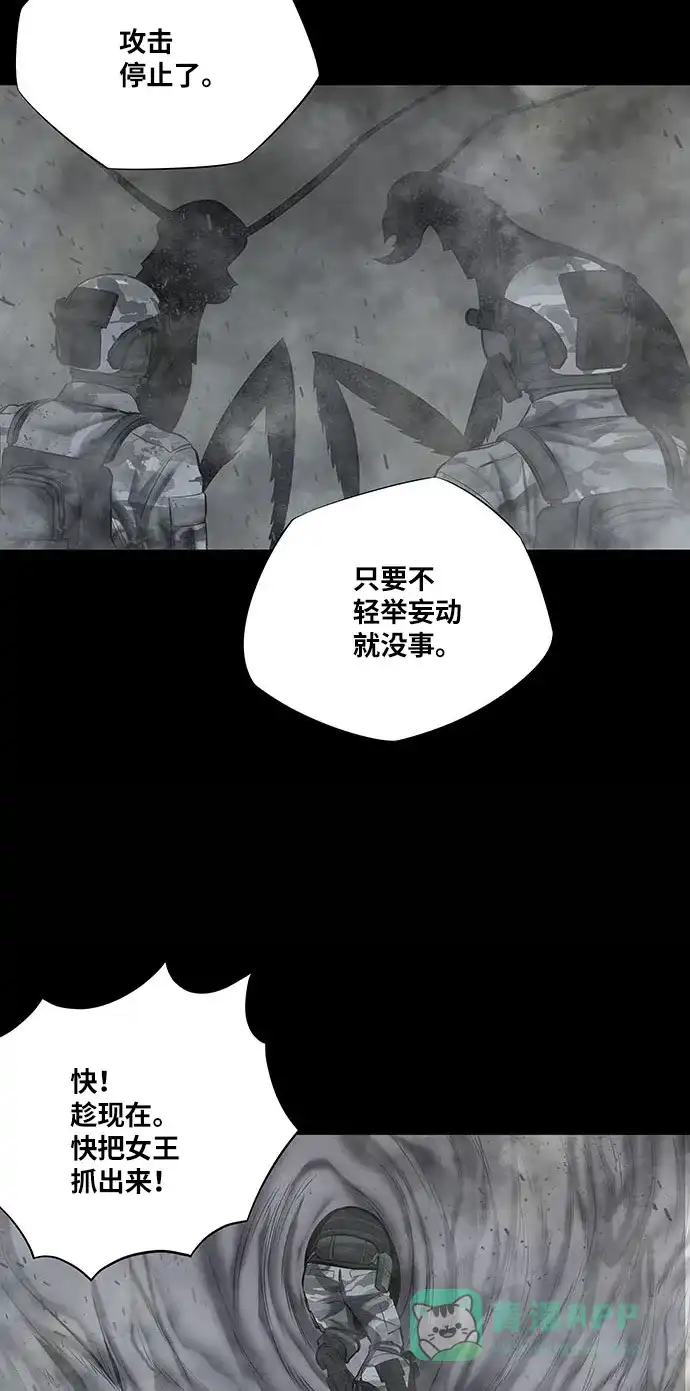 《虫穴》第133话 第34页