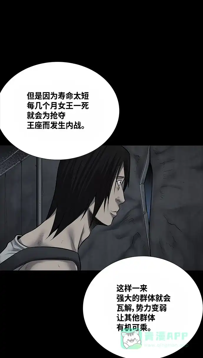 《虫穴》第134话 第36页