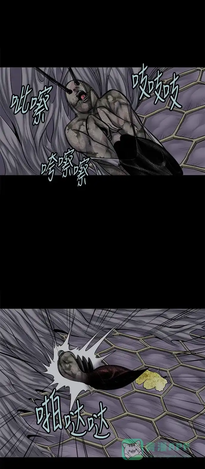 《虫穴》第135话 第36页