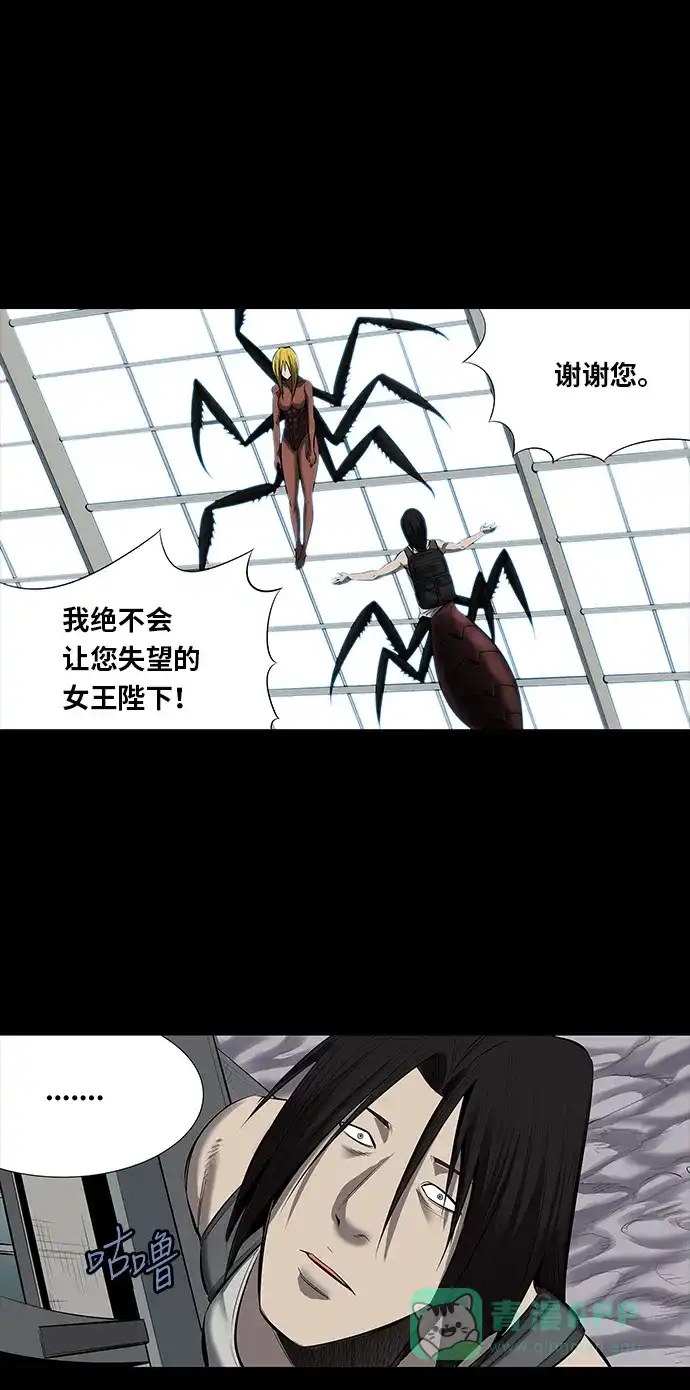 《虫穴》第141话 第34页