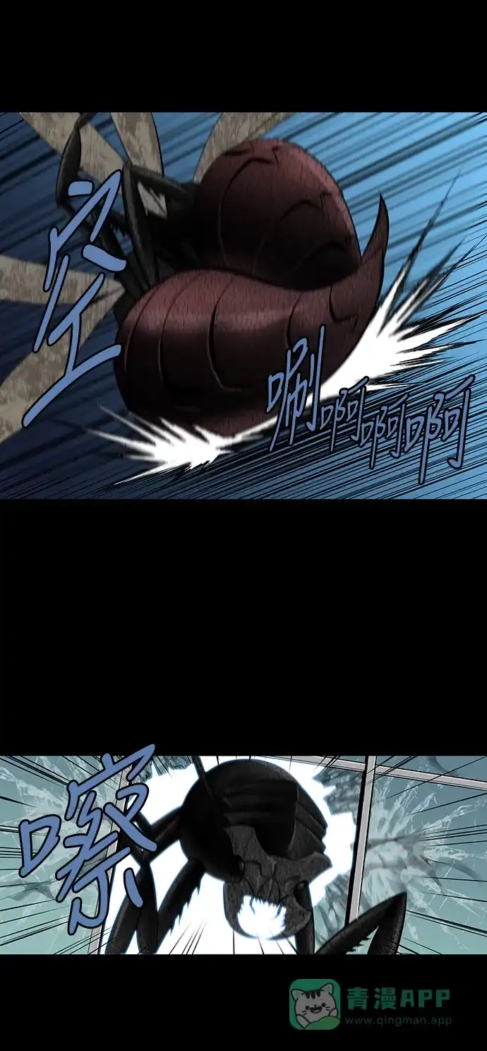 《虫穴》第141话 第13页