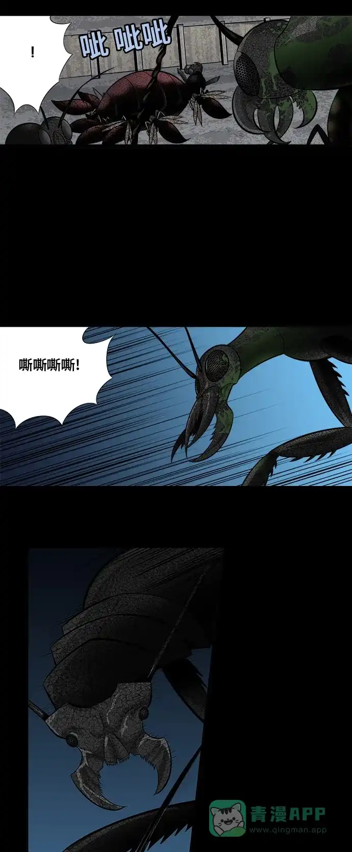 《虫穴》第141话 第11页