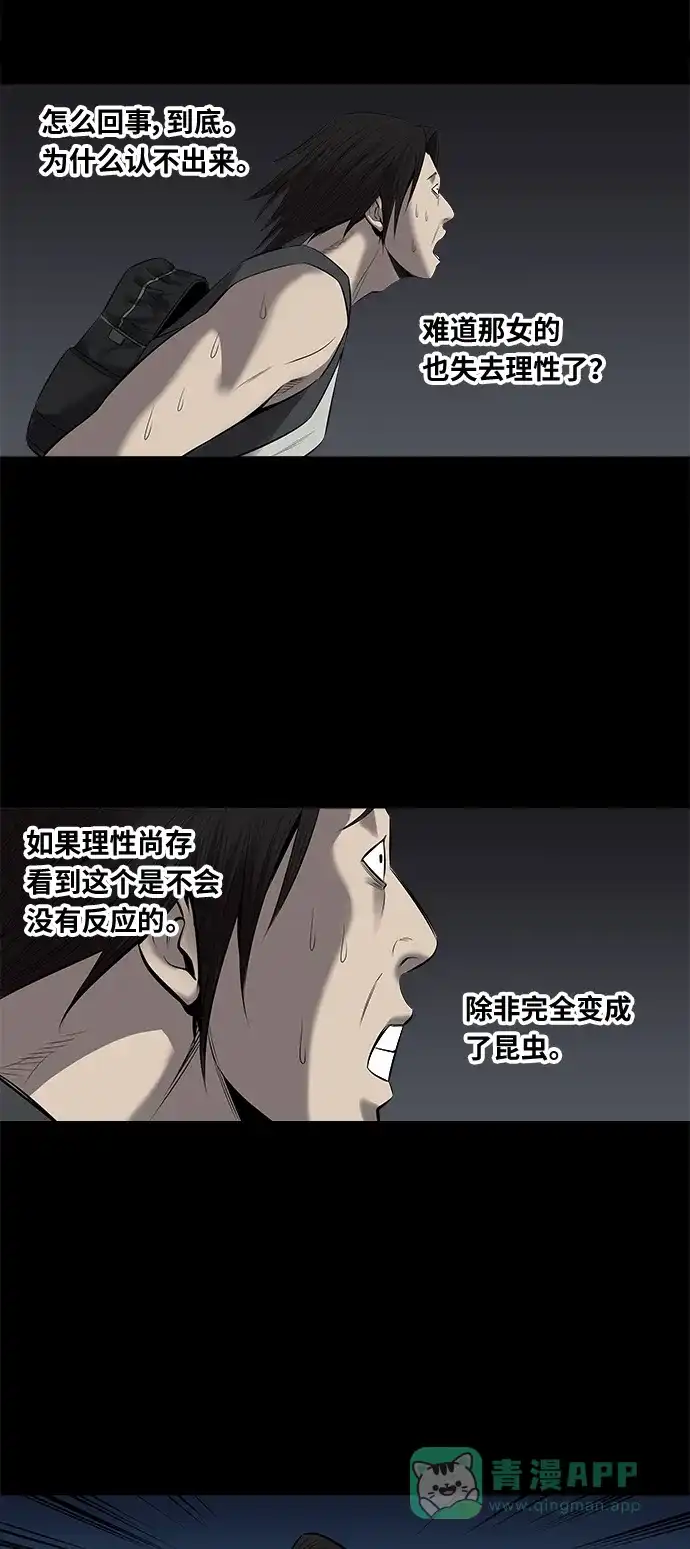 《虫穴》第142话 第47页