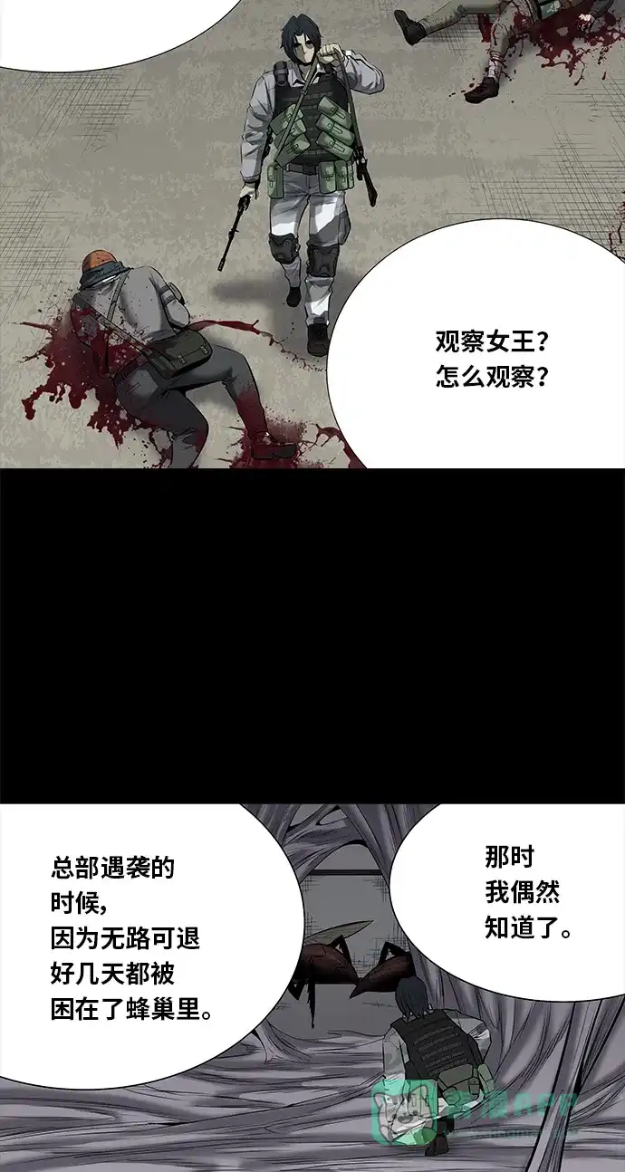 《虫穴》第143话 第19页