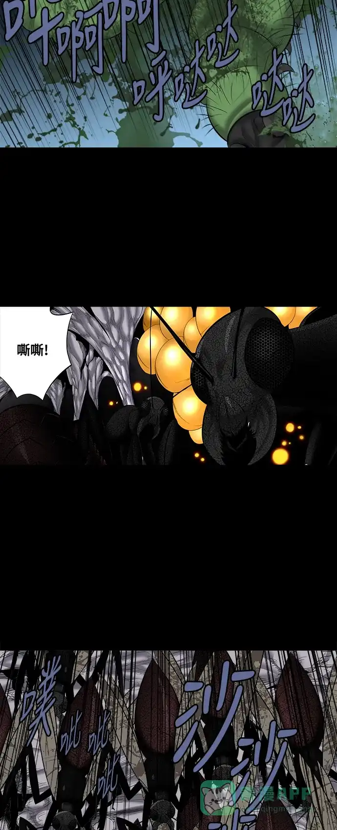 《虫穴》第145话 第19页