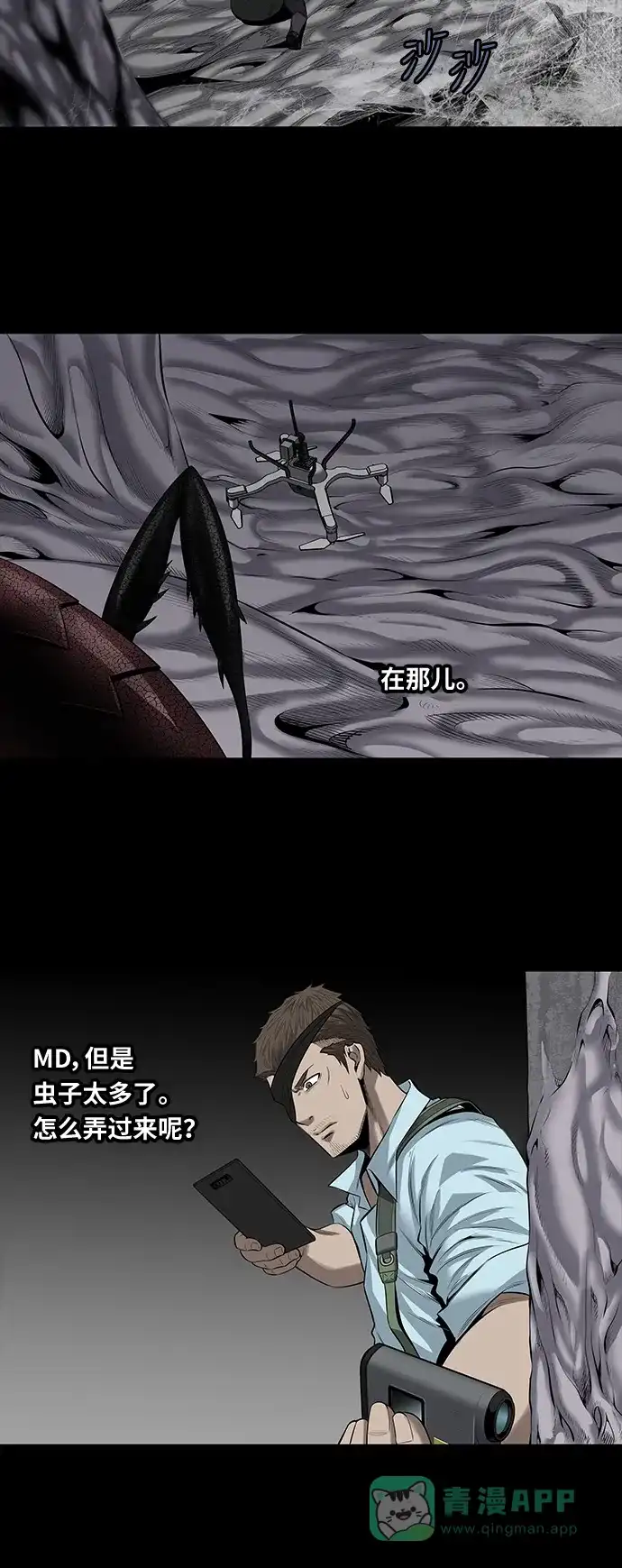 《虫穴》第145话 第12页