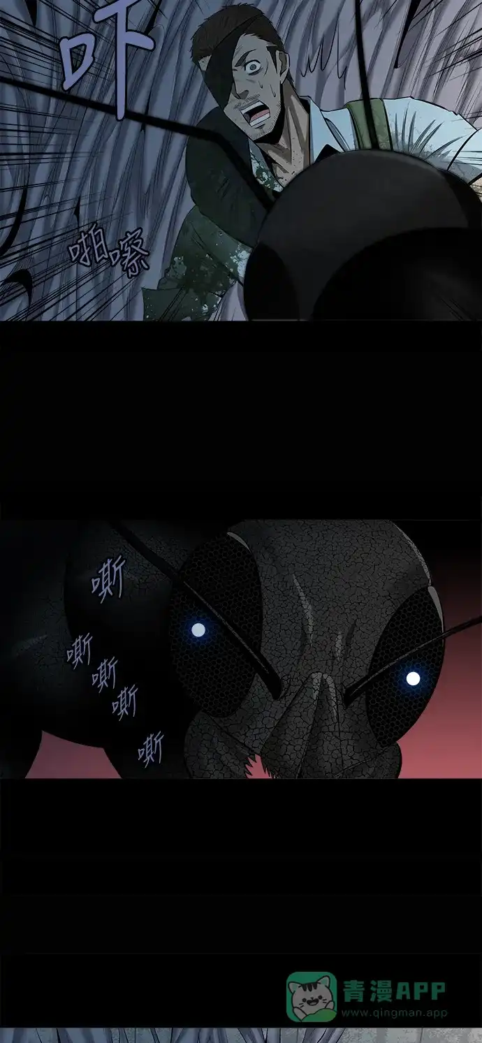 《虫穴》第146话 第30页