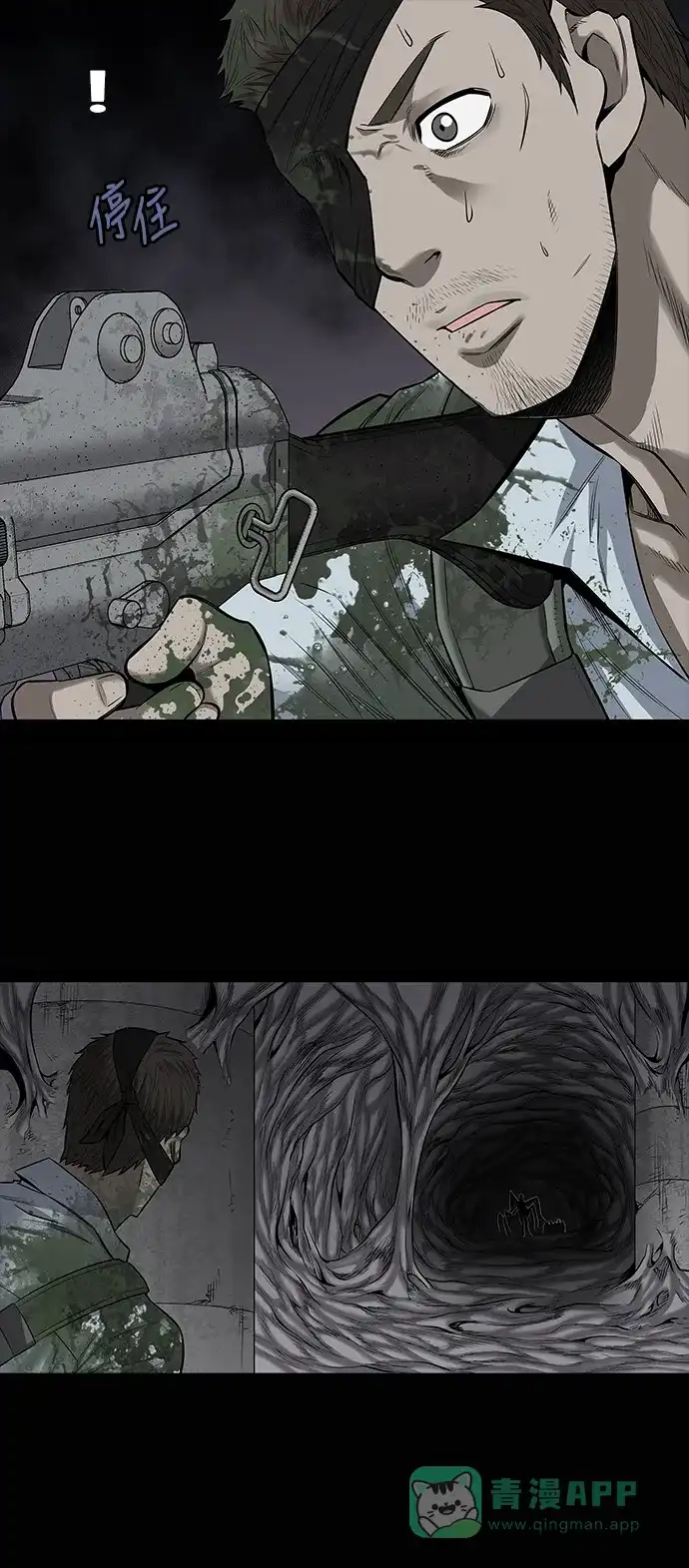 《虫穴》第147话 第1页