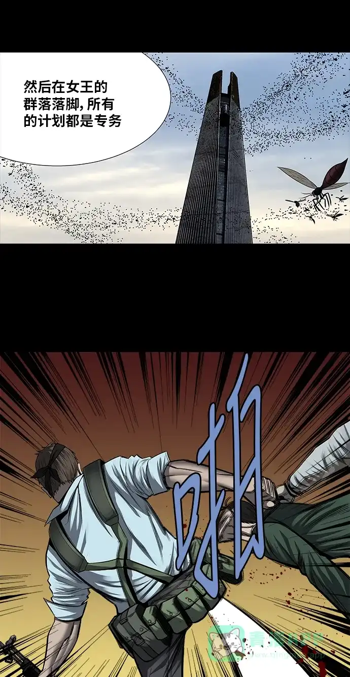 《虫穴》第161话 第33页