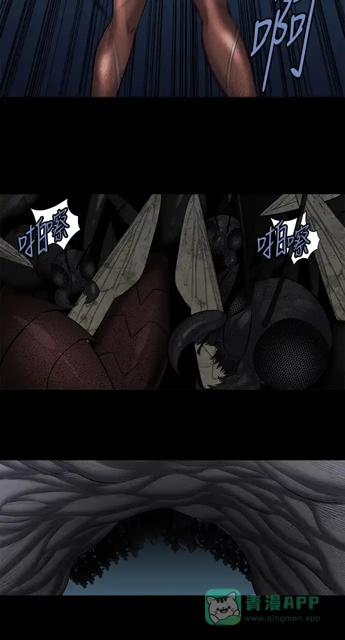 《虫穴》第168话 第48页
