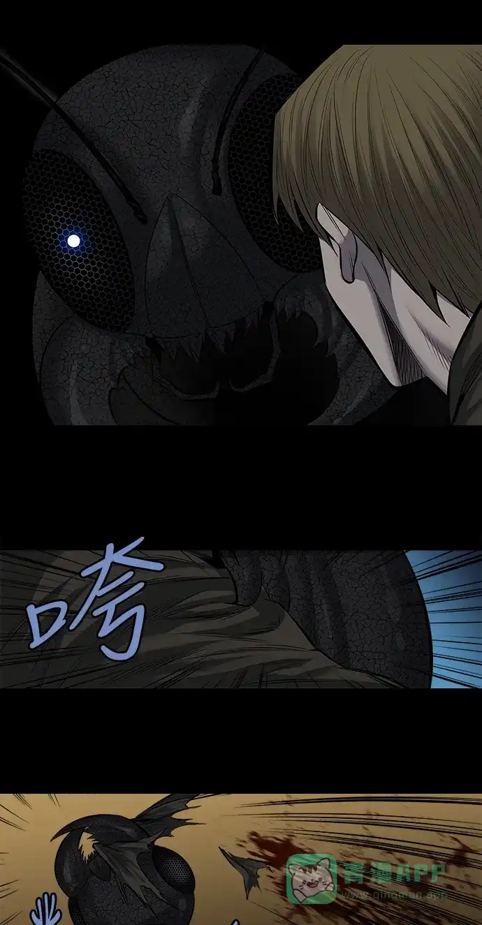 《虫穴》第168话 第14页