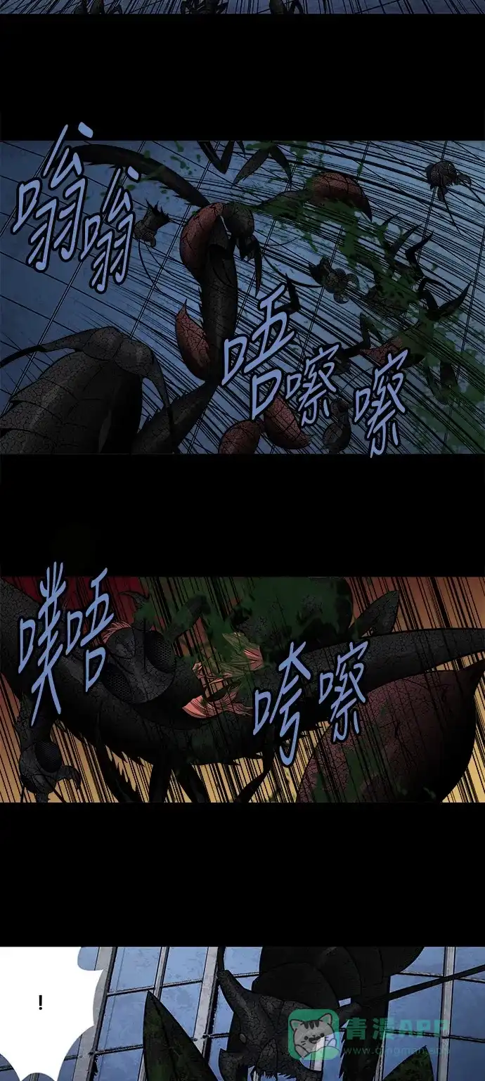 《虫穴》第175话 第31页