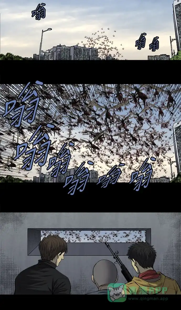 《虫穴》第199话 第5页