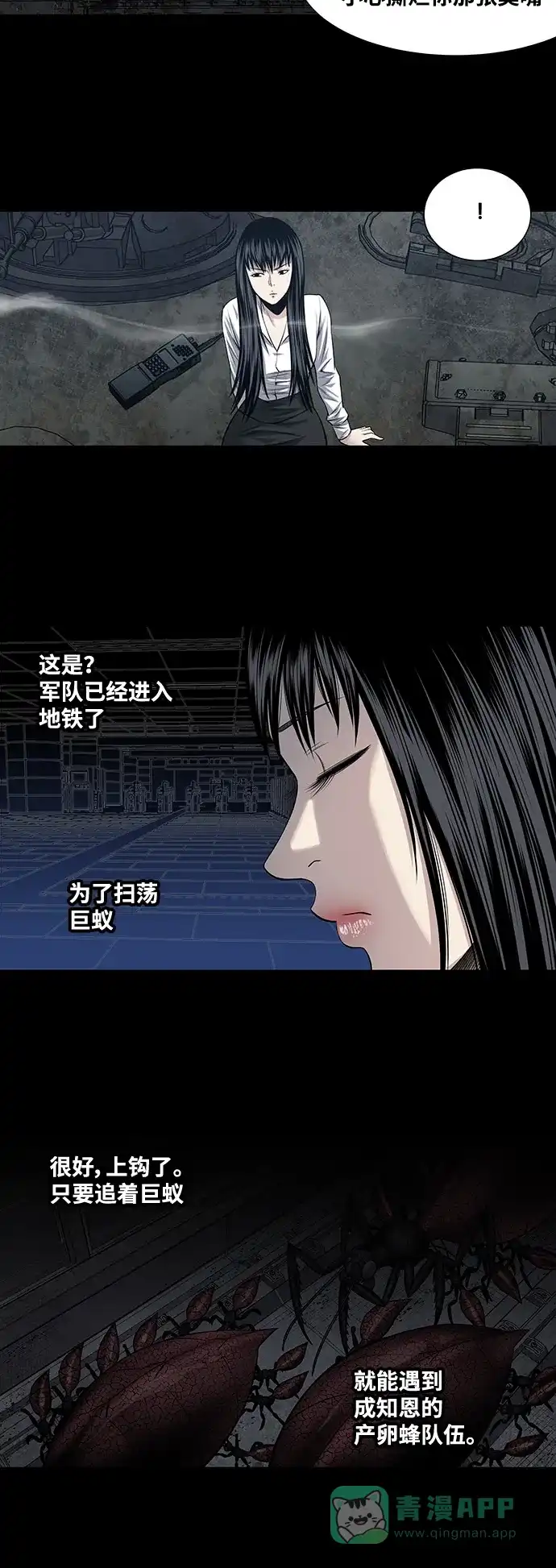 《虫穴》第226话 第20页