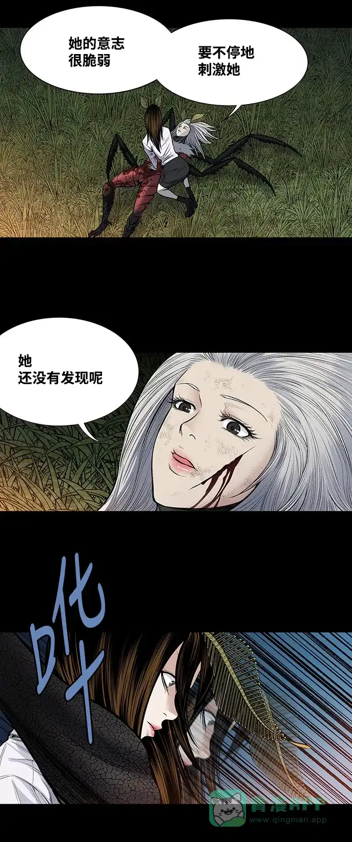 《虫穴》第240话 第31页