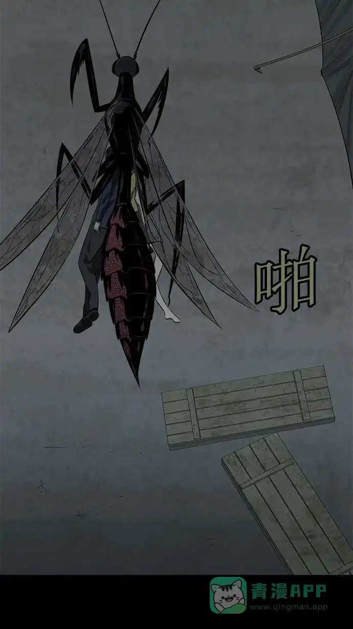 《虫穴》第28话 第51页