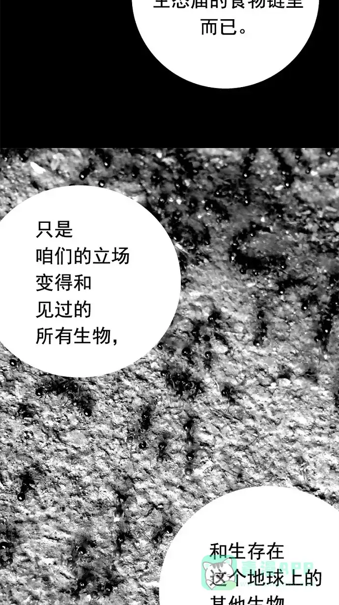 《虫穴》第33话 第41页