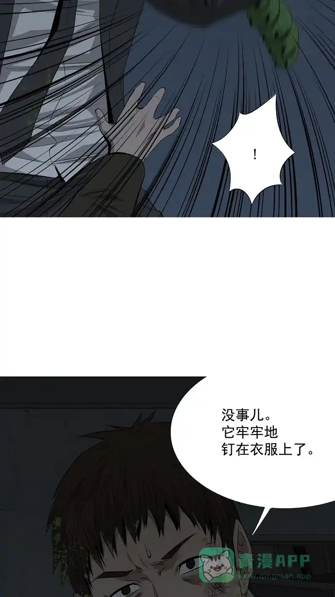 《虫穴》第4话 第29页