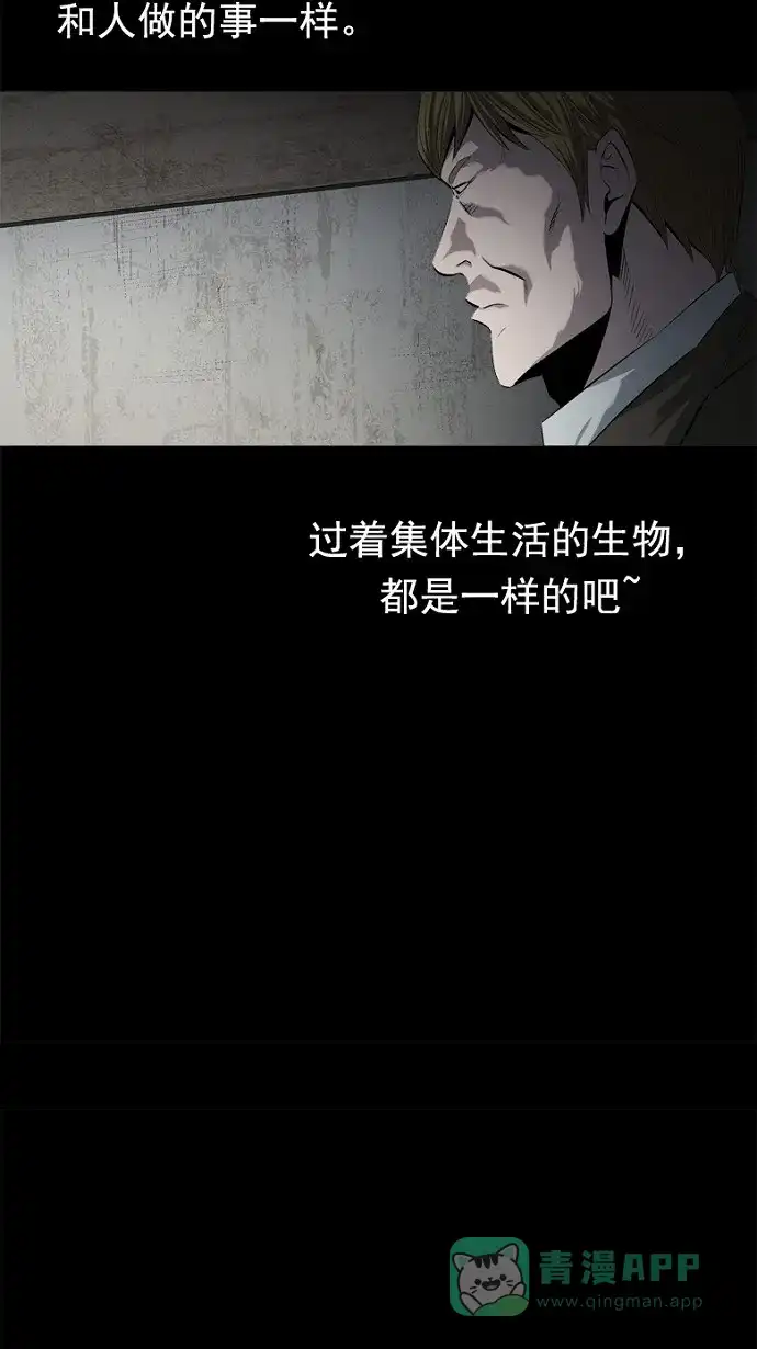 《虫穴》第49话 第41页