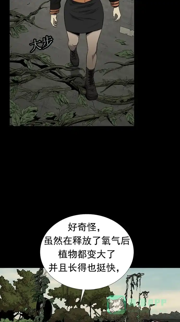 《虫穴》第67话 第51页